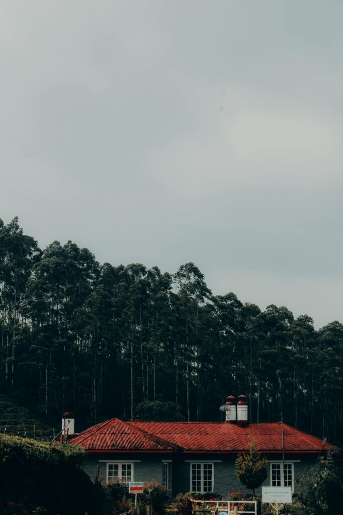 pexels offpad productions 515196778 20027144